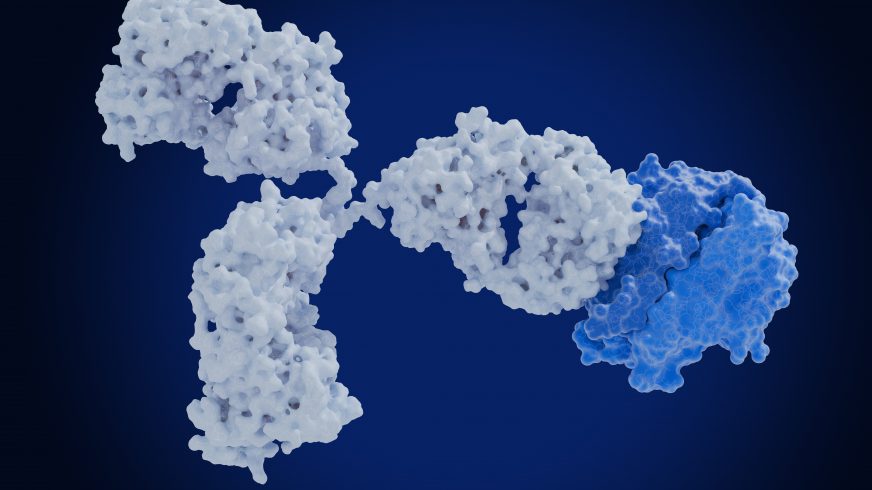 Automimmune diseases: Therapeutic antibody blocks the tumor necrosis factor  alfa (TNF-α)